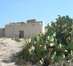 big_20885616_0_180-135