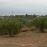 big_27175428_0_200-150